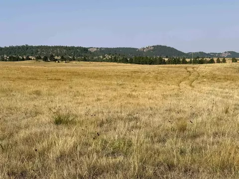 Tract 17 Black Bear Road, Hulett, WY 82720