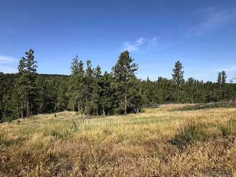 Tract 12 Black Bear Road, Hulett, WY 82720
