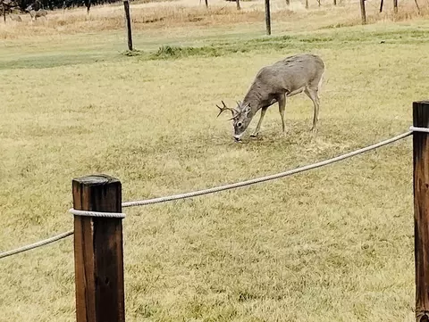 Other - 10564 Moller Rd, Spearfish, SD 57783 photo 12 of 14