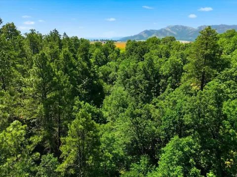 View/Area - 10564 Moller Rd, Spearfish, SD 57783 photo 3 of 8