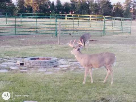 Other - 10564 Moller Rd, Spearfish, SD 57783 photo 14 of 14
