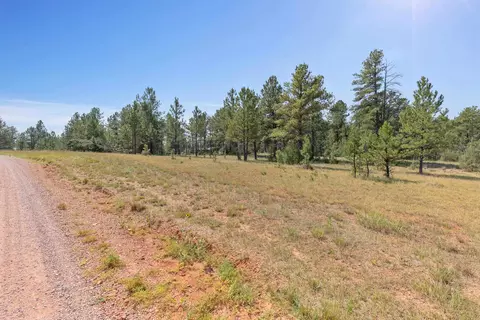 12867 Ruby Ln, Hot Springs, SD 57747 photo 16
