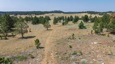 50 Acres Farmer Rd, Custer, SD 57730 photo 31