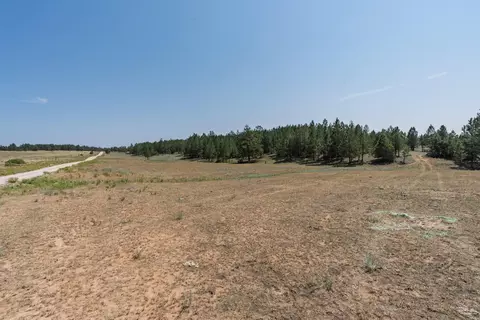50 Acres Farmer Rd, Custer, SD 57730 photo 28