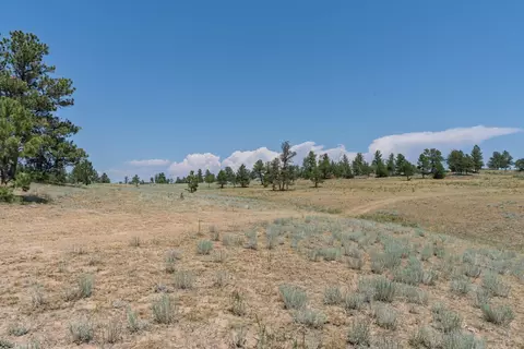 50 Acres Farmer Rd, Custer, SD 57730 photo 14