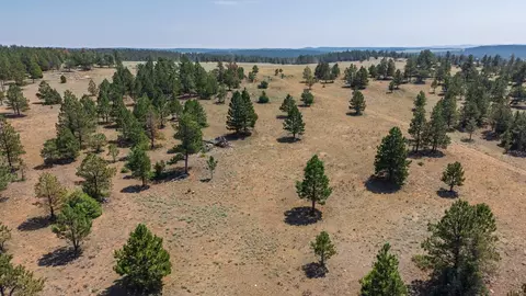 50 Acres Farmer Rd, Custer, SD 57730 photo 27