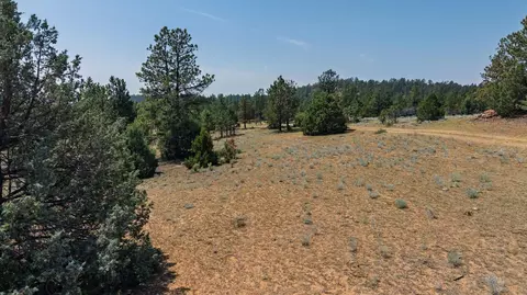 50 Acres Farmer Rd, Custer, SD 57730 photo 12