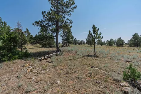 50 Acres Farmer Rd, Custer, SD 57730 photo 26