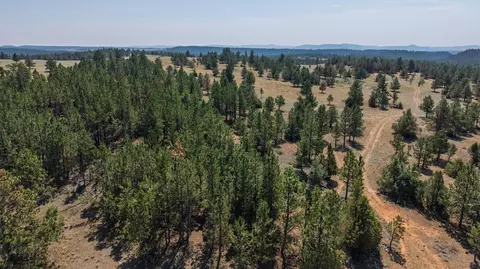 50 Acres Farmer Rd, Custer, SD 57730 photo 25