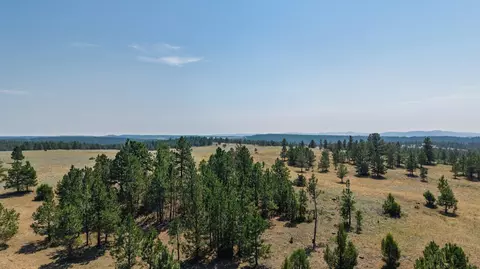 50 Acres Farmer Rd, Custer, SD 57730 photo 29