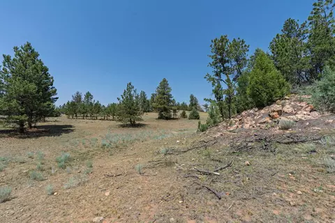 50 Acres Farmer Rd, Custer, SD 57730 photo 11