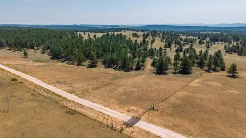 50 Acres Farmer Rd, Custer, SD 57730 photo 8