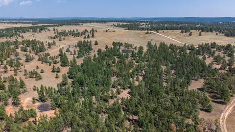 50 Acres Farmer Rd, Custer, SD 57730 photo 5