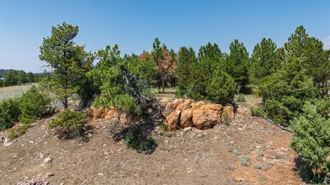 50 Acres Farmer Rd, Custer, SD 57730 photo 33