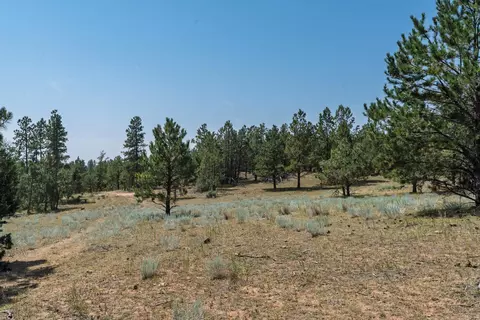 50 Acres Farmer Rd, Custer, SD 57730 photo 10