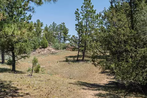 40 Acres Farmer Rd, Custer, SD 57730 photo 8