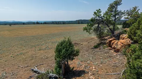 40 Acres Farmer Rd, Custer, SD 57730 photo 33