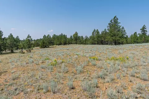40 Acres Farmer Rd, Custer, SD 57730 photo 21