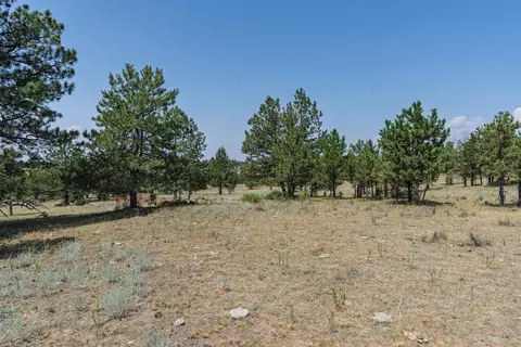 40 Acres Farmer Rd, Custer, SD 57730 photo 20