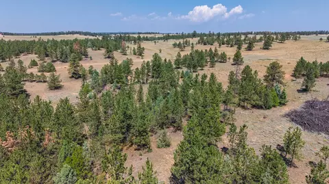 40 Acres Farmer Rd, Custer, SD 57730 photo 5