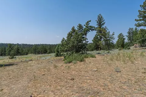 40 Acres Farmer Rd, Custer, SD 57730 photo 19