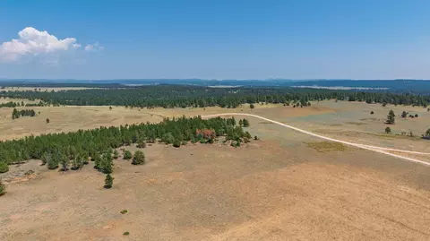 40 Acres Farmer Rd, Custer, SD 57730 photo 23