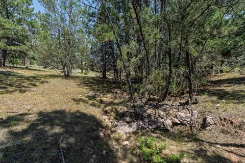 40 Acres Farmer Rd, Custer, SD 57730 photo 11