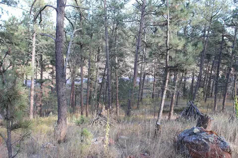 12063 Red Rock Ln, Custer, SD 57730 photo 17