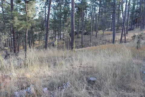 12063 Red Rock Ln, Custer, SD 57730 photo 2