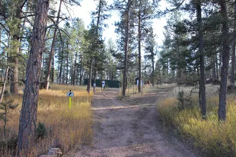 12063 Red Rock Ln, Custer, SD 57730 photo 3