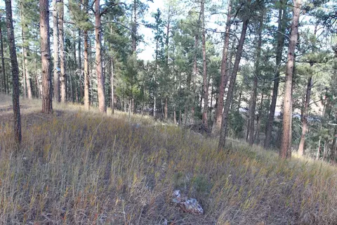 12063 Red Rock Ln, Custer, SD 57730 photo 16
