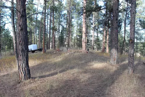 12063 Red Rock Ln, Custer, SD 57730 photo 15