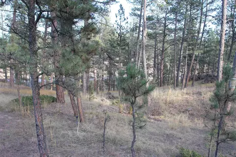 12063 Red Rock Ln, Custer, SD 57730 photo 19