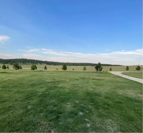 Other - 11593 War Bonnet Rd, Custer, SD 57730 photo 4 of 4