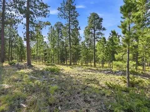 lot4 NE Block 9 Ne Overlook Pass, Lead, SD 57754 photo 6