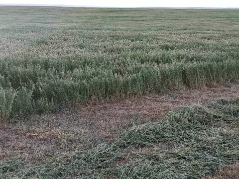 Undisclosed, Newell, SD 57760 photo 7