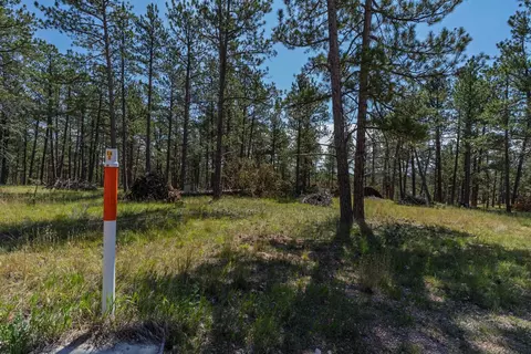 tbd Wolf Ln, Custer, SD 57730 photo 15