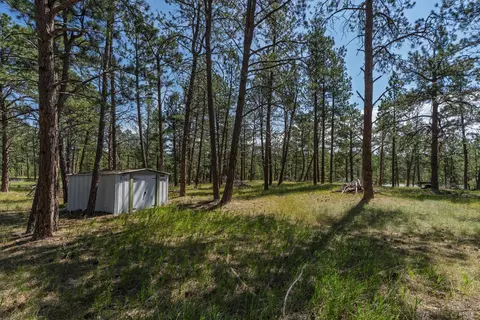 tbd Wolf Ln, Custer, SD 57730 photo 6