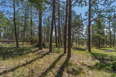 tbd Wolf Ln, Custer, SD 57730 photo 14