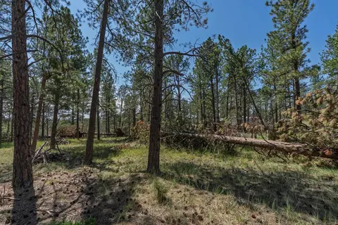 tbd Wolf Ln, Custer, SD 57730 photo 5