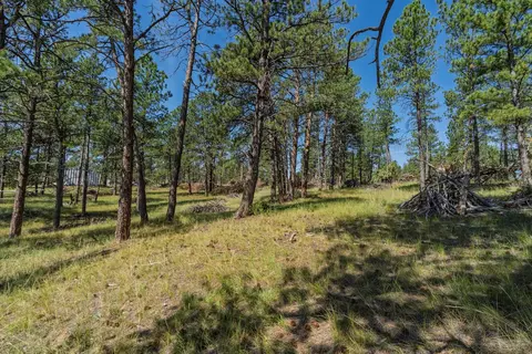tbd Wolf Ln, Custer, SD 57730 photo 9