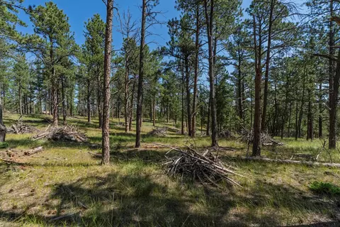 tbd Wolf Ln, Custer, SD 57730 photo 7