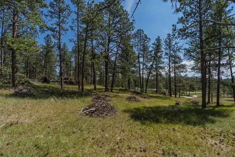 tbd Wolf Ln, Custer, SD 57730 photo 13