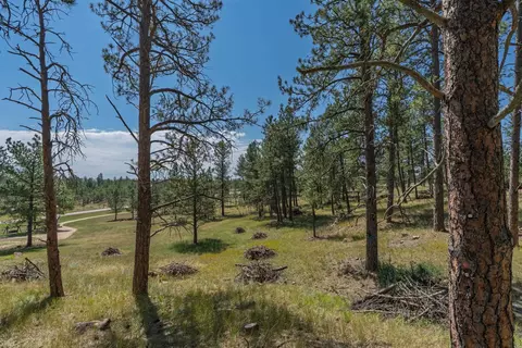 tbd Wolf Ln, Custer, SD 57730 photo 11