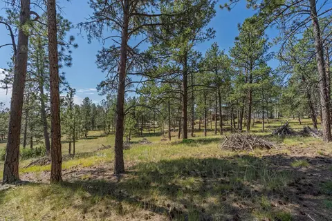 tbd Wolf Ln, Custer, SD 57730 photo 8