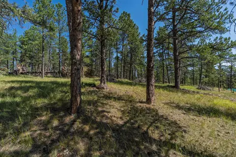 tbd Wolf Ln, Custer, SD 57730 photo 12