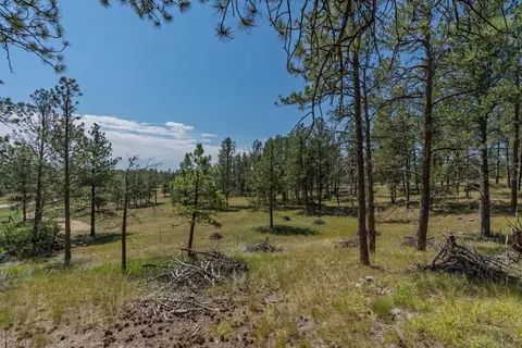 tbd Wolf Ln, Custer, SD 57730 photo 10