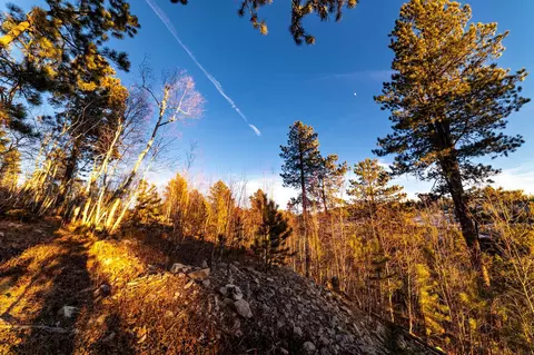 lot10 Wapiti Rd, Lead, SD 57754 photo 10