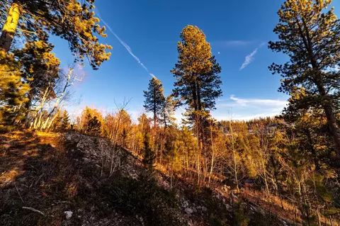 lot10 Wapiti Rd, Lead, SD 57754 photo 11