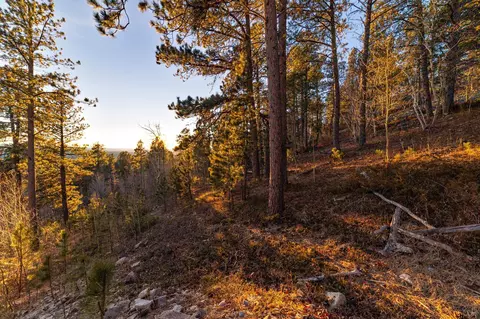 lot10 Wapiti Rd, Lead, SD 57754 photo 8
